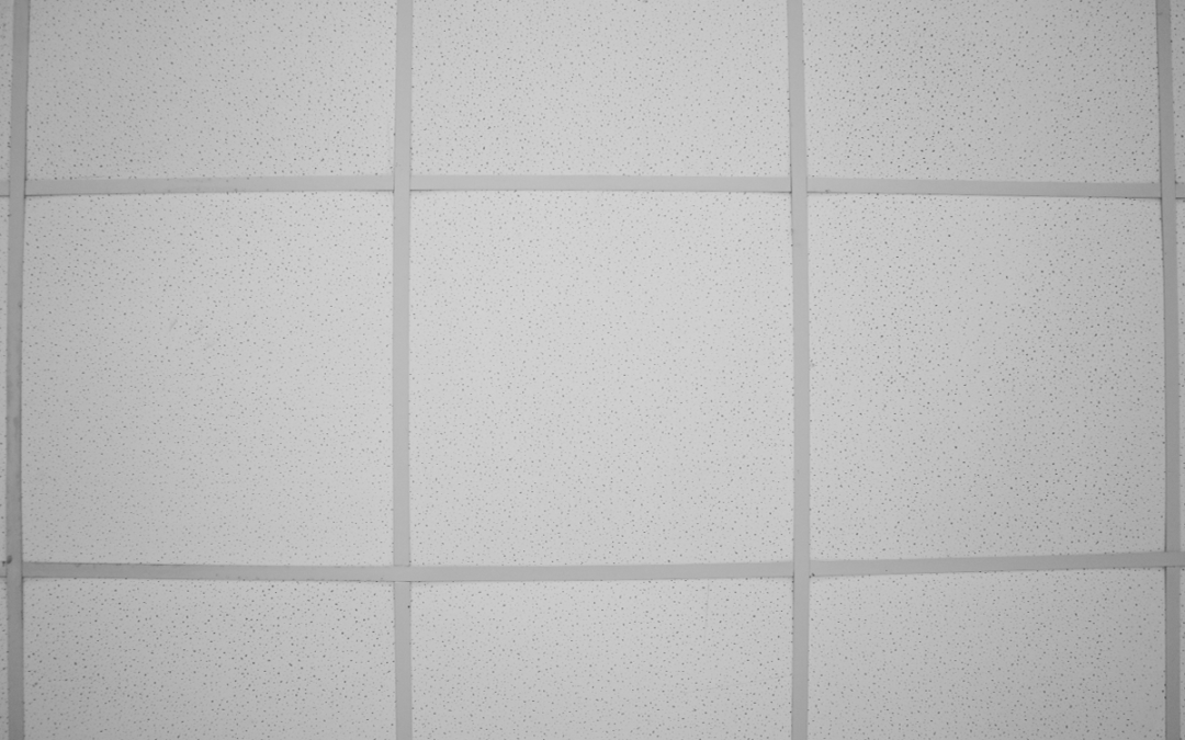 Types of Acoustic Ceiling Panels